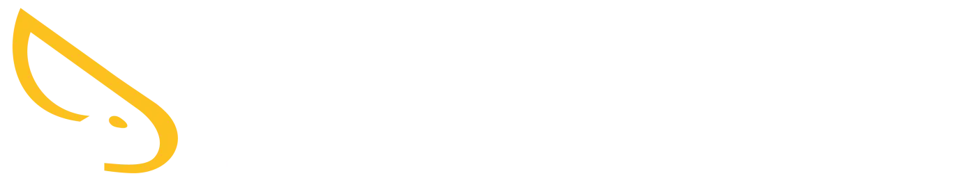 Logo Solo Affitti